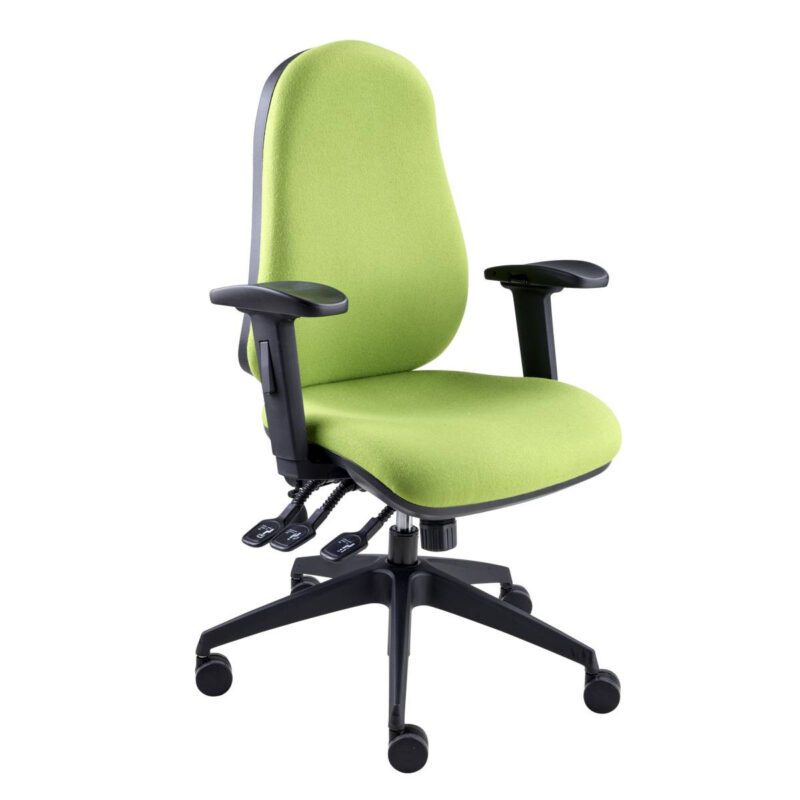 POLAR Ergonomic Task Chair - Image 4
