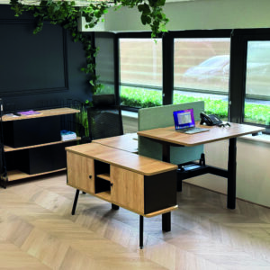 Alto Height Adjustable Multi-Workstations