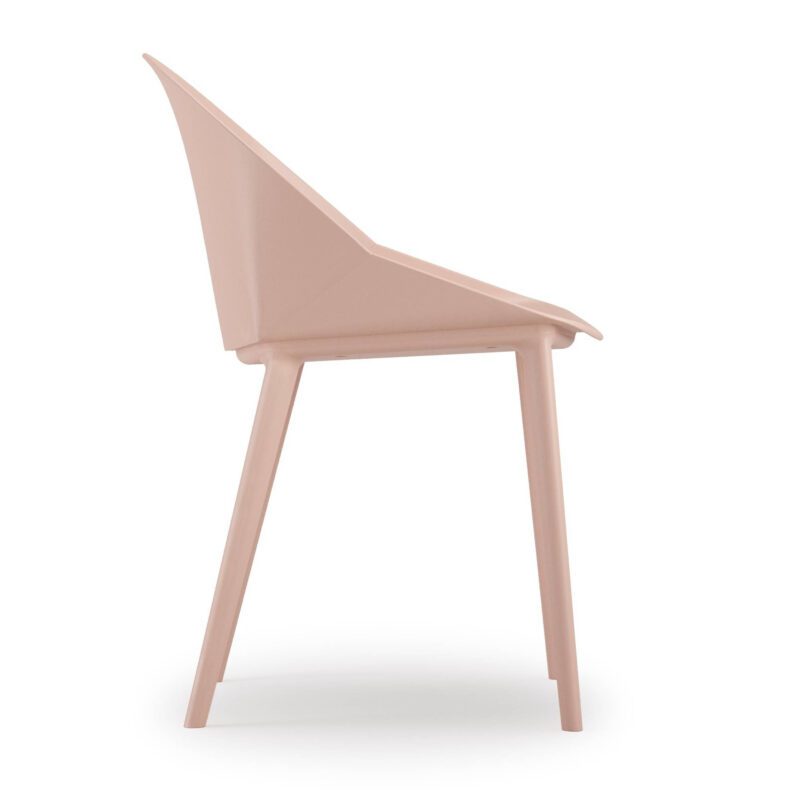 PAPILLION - Image 7