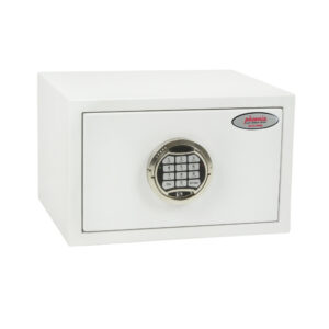 Phoenix Fortress Security Safe
