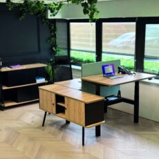 Alto Height Adjustable Multi-Workstations