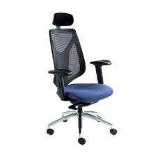 DUCE Executive Mesh Chair with Headrest