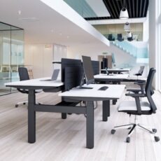 Progress Plus - Electric Height Adjustable Double Bench