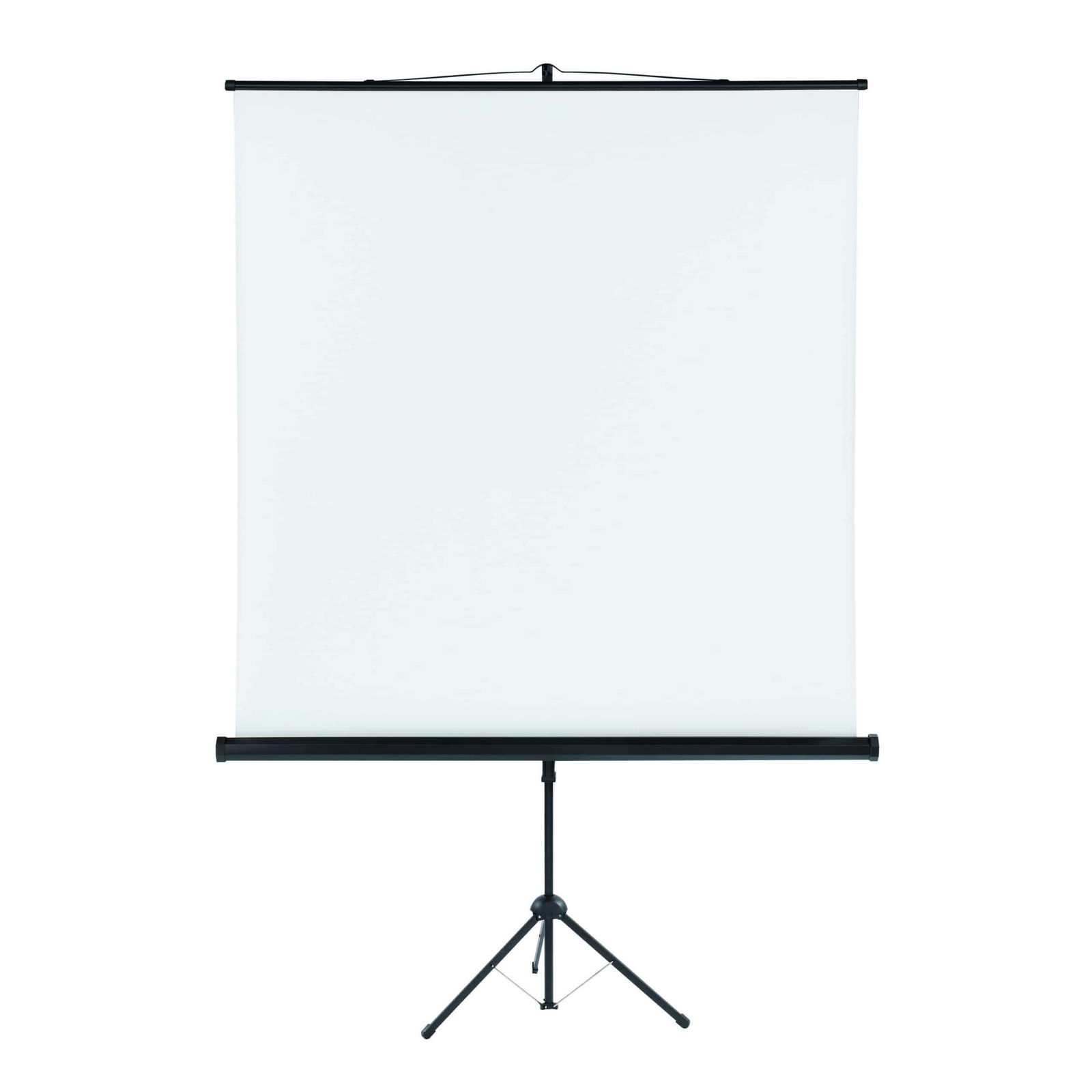 Projection Screens thumbnail