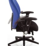 Height Adjustable & Folding Arms