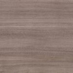 English Walnut