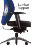 Inflatable Lumbar