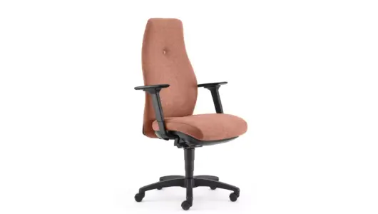 Ergonomic Chairs thumbnail