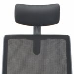 Upholstered Headrest