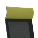 Upholstered Headrest