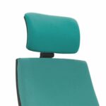 Upholstered Headrest