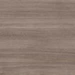 English Walnut