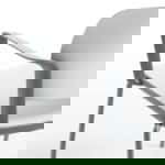 Chalk White Seat / Ice Grey Frame