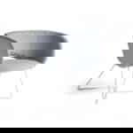 Large Shell on Skid Frame - seat height 450mm 